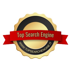 Top Search Engine